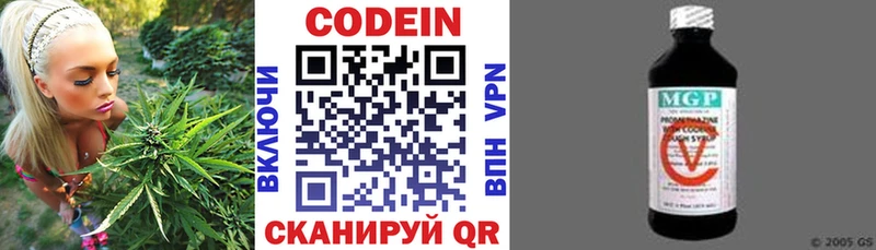 Купить  Зеленодольск  Кодеиновый сироп Lean Purple Drank 