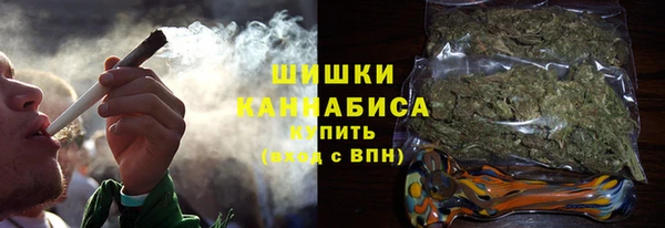 ГАЛЛЮЦИНОГЕННЫЕ ГРИБЫ Кукмор