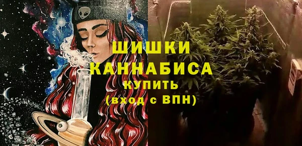 ГАЛЛЮЦИНОГЕННЫЕ ГРИБЫ Кукмор