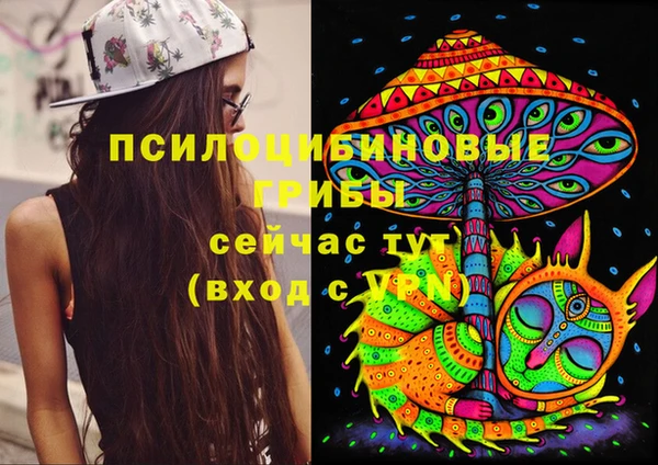 mdpv Кулебаки