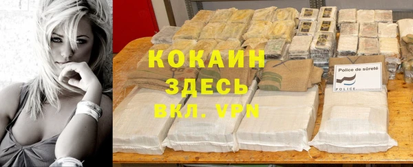 ГАЛЛЮЦИНОГЕННЫЕ ГРИБЫ Кукмор