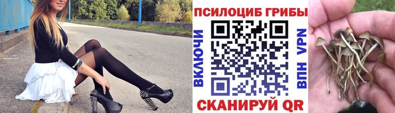 Купить закладки  Зеленодольск  Псилоцибиновые грибы Psilocybine cubensis 